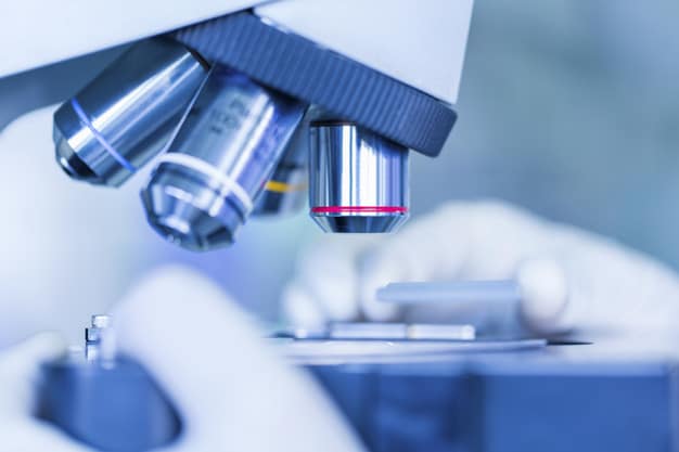 microscopio Immune Modulation process for stem cell treatment