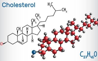 The Beauty of Cholesterol: The Most Misunderstood Molecule