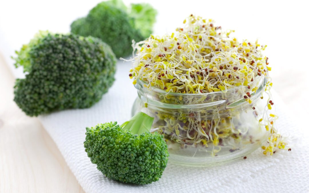 broccoli sprouts