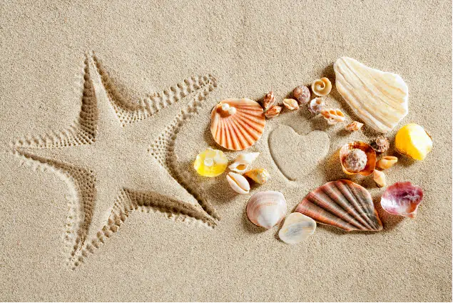 Ten Tips for a Healthy and Safe Summer