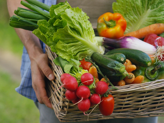 The Health Benefits of an Organic Garden