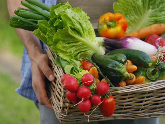 organic garden harvest